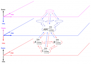 Bottom-up organization