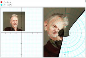 Sinusing (z'=sin(iz) my face (with grid)