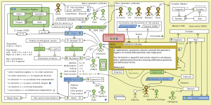 The Evolution of Geometric Arithmetic 112