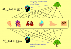 Uniquely determined experience and uniquely determined action