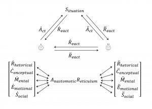Anastomotic Reticulum in the 5-level model 1