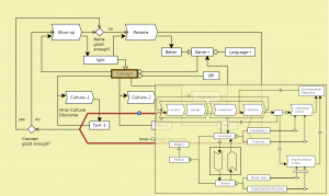 Enhancing Social Integration 6