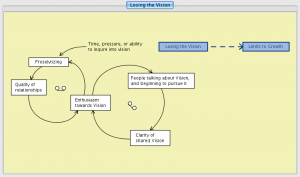 Losing the Vision 10