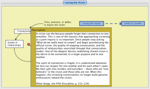 Losing the Vision 11