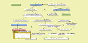 Skärmavbild 2019-10-31 kl. 22.41.53