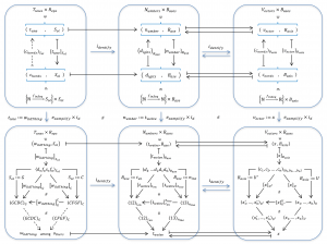 Numbers and Vectors are Naturally Related to Music