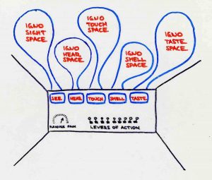 Igno-sense-spaces-2_1